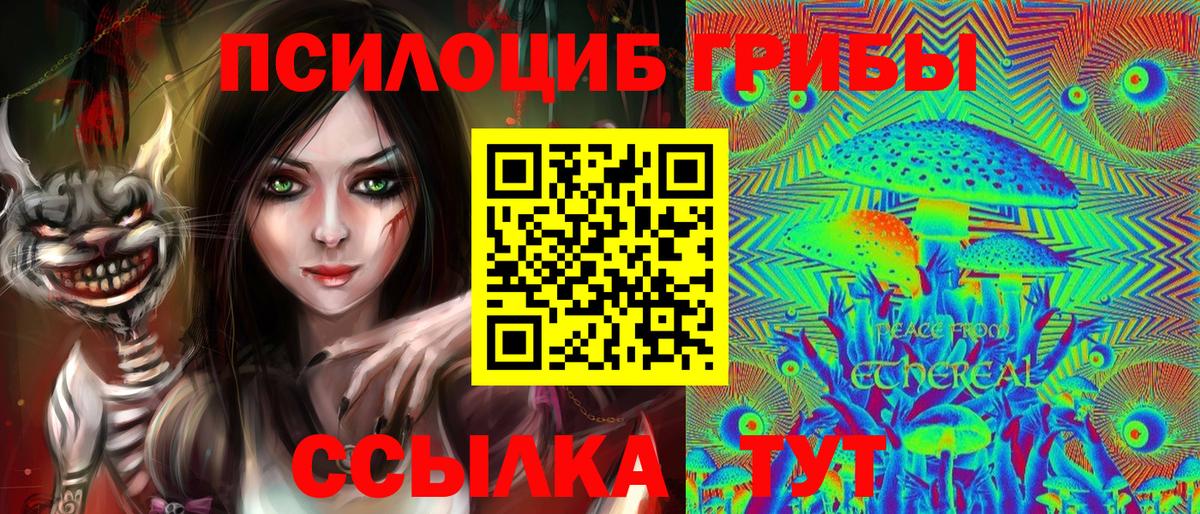 Галлюциногенные грибы мухоморы Североморск