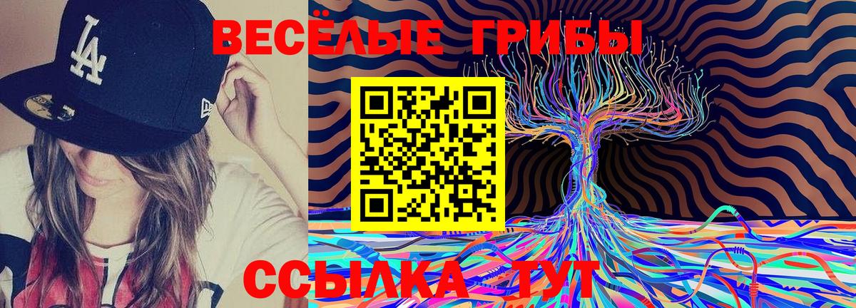Североморск  Галлюциногенные грибы Psilocybine cubensis  Вход с VPN 